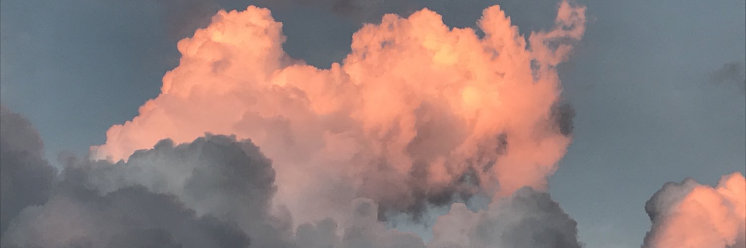 lu_lu_easy's profile banner image