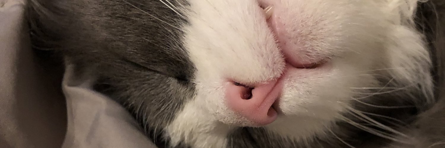 jobermudeez's profile banner image