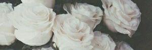 BlondeDevilXA's profile banner image