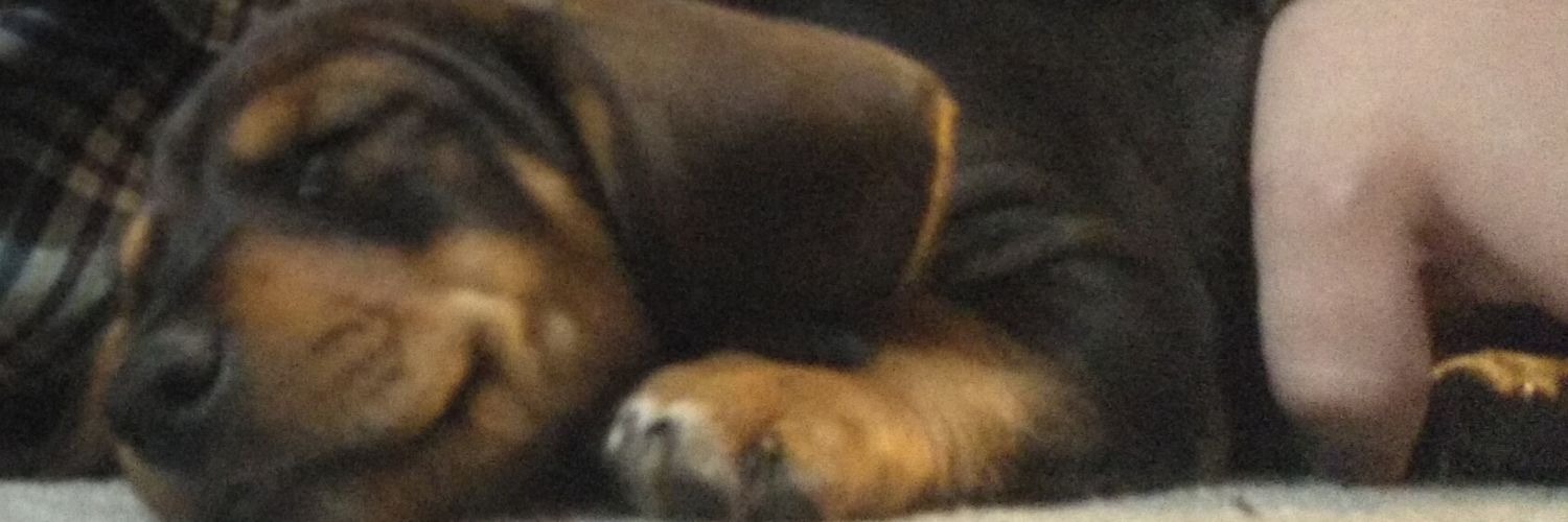The_Shone's profile banner image