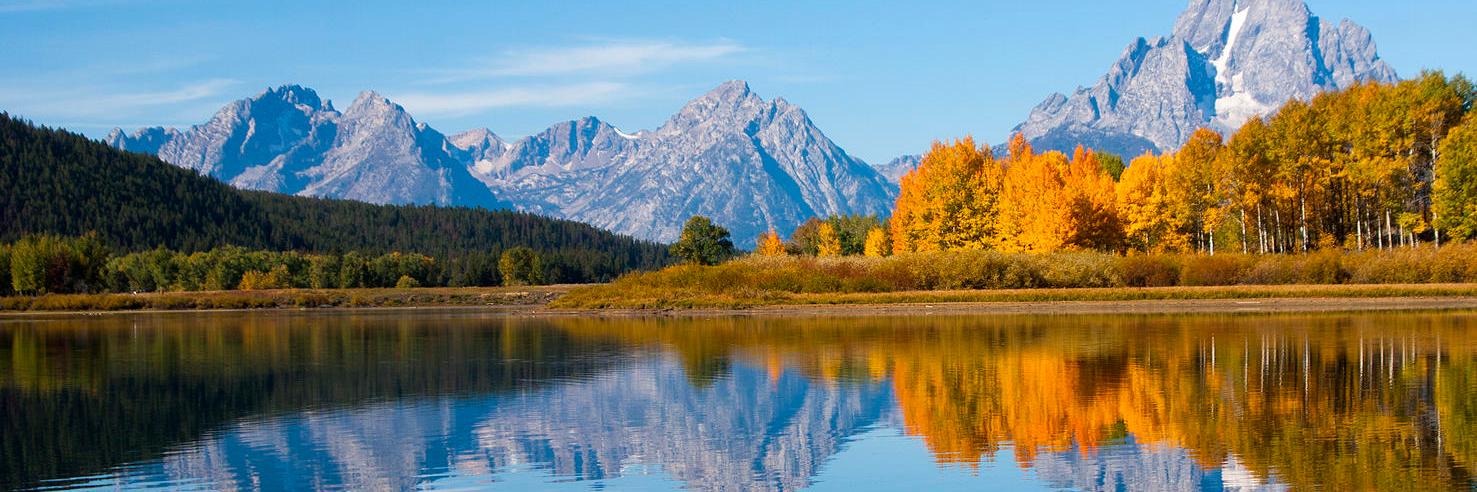 CollectiveConsulting banner