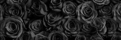 NewHomeMama's profile banner image