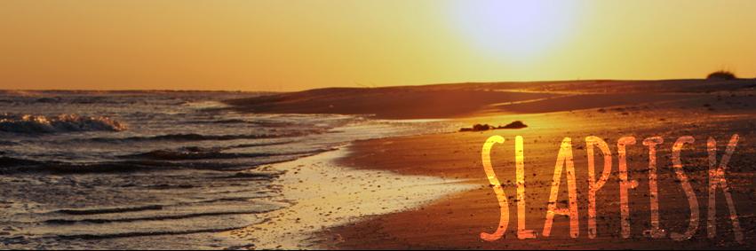 Slapfisk banner