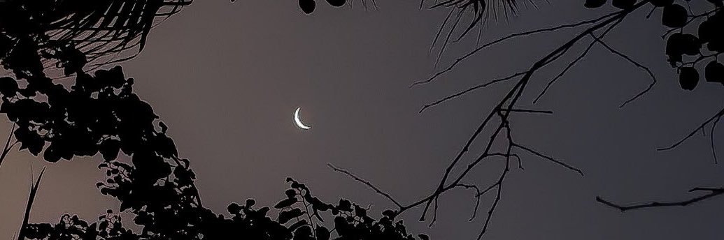 AShakarzadeh's profile banner image