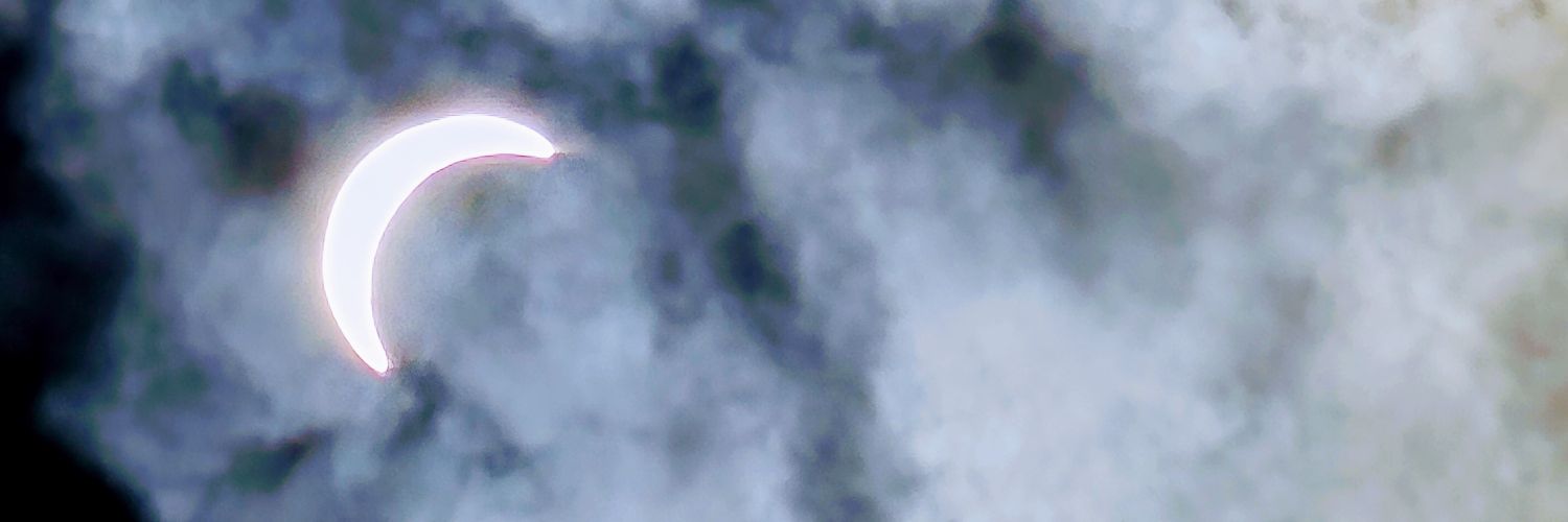 frances_e's profile banner image