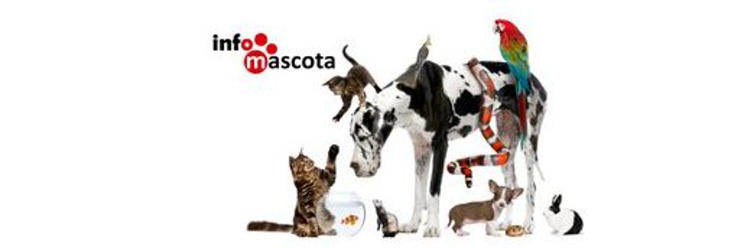 @infomascota banner