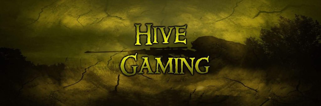 HG_HiveGaming's profile banner image