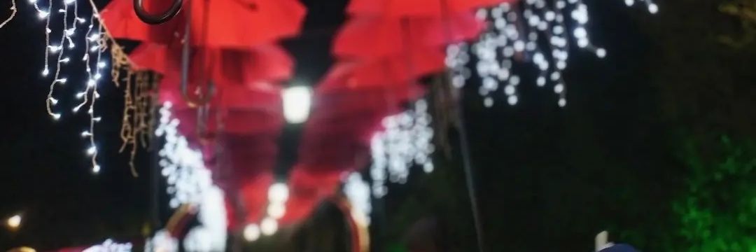 dmsdayara's profile banner image
