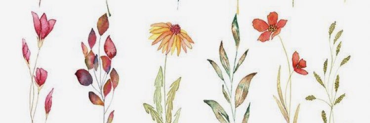 raneyavery's profile banner image