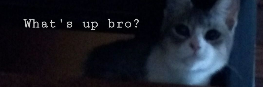 yoquece00's profile banner image