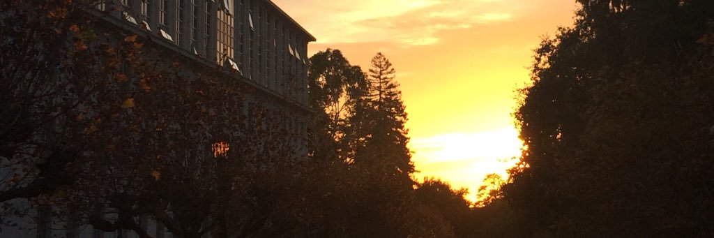 georch's profile banner image