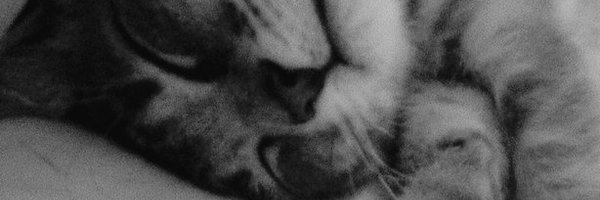 ivonosorio156's profile banner image