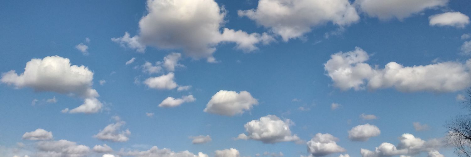 janzolt's profile banner image