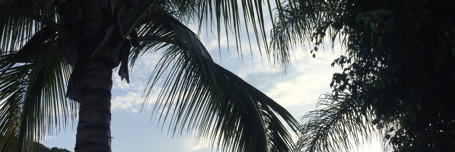MuscleMannie's profile banner image