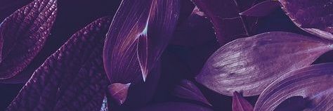 to_fyy's profile banner image
