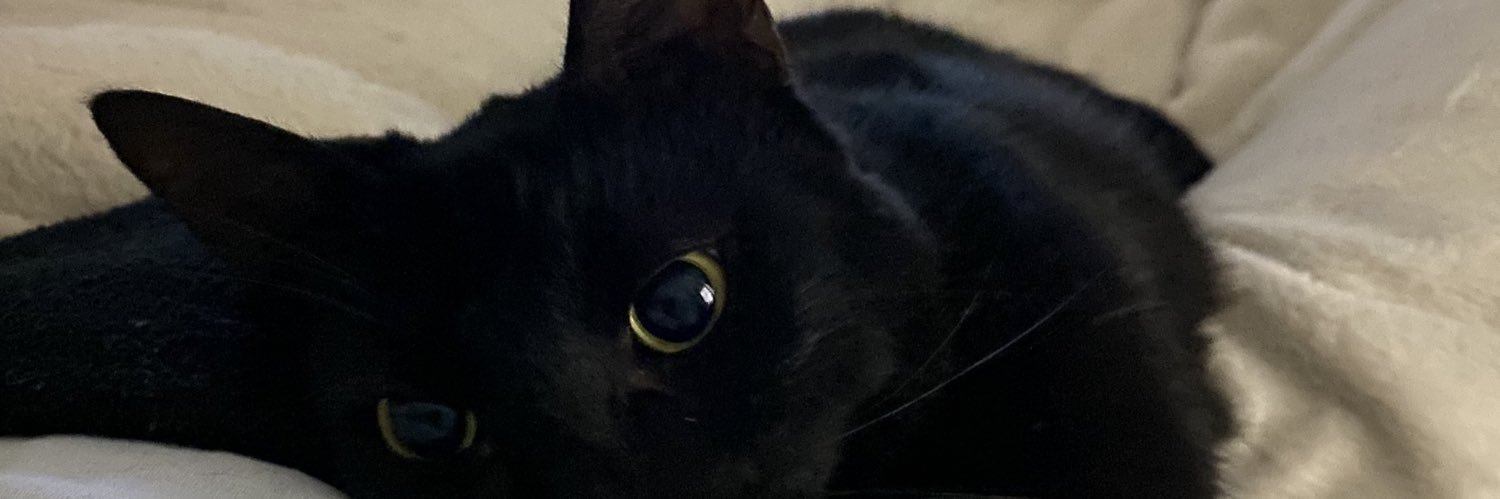 SASHA🌶️ banner