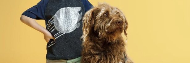 retteleg's profile banner image