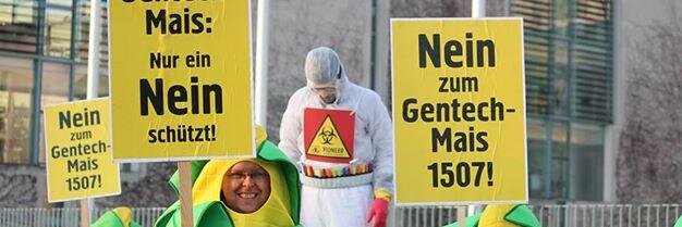 Gentechstoppen's profile banner image