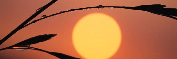 ogsb1's profile banner image
