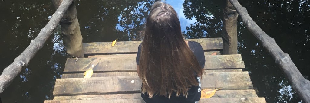 lisakoenders's profile banner image
