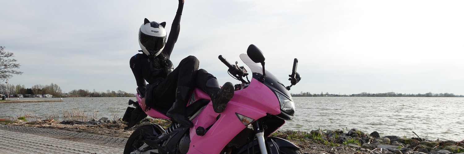 cat_lux_'s profile banner image