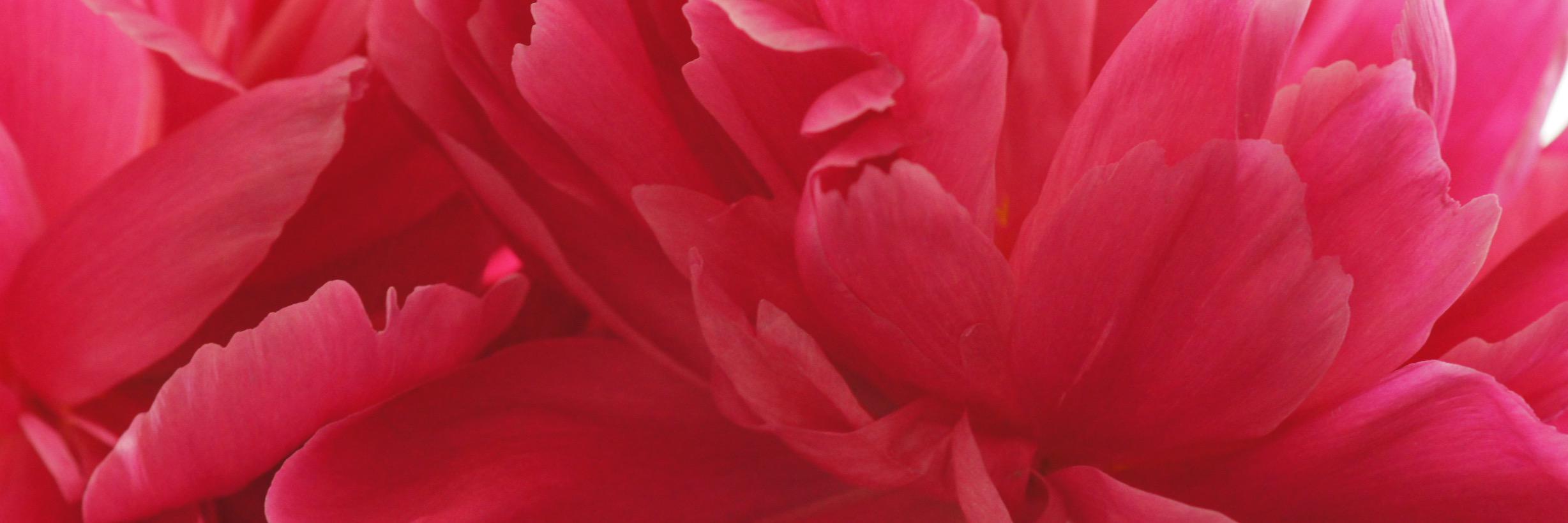 Kindness_4_All's profile banner image