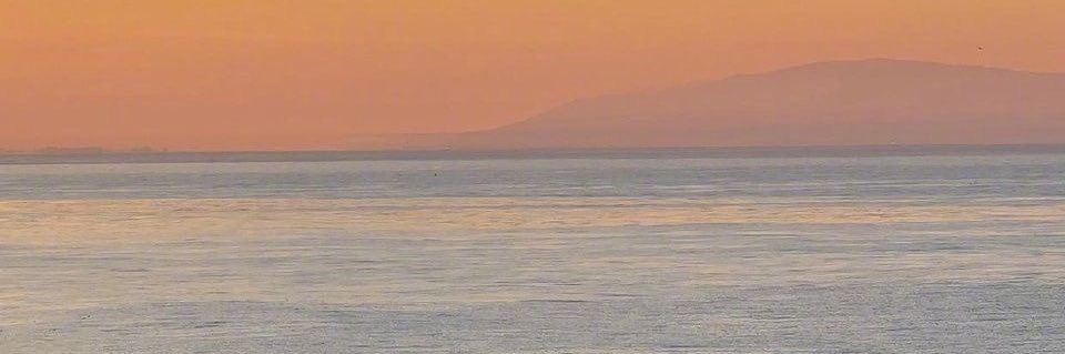 catanegro_'s profile banner image