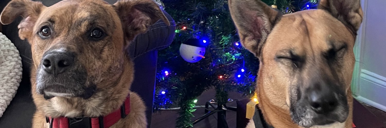 mandereez_'s profile banner image