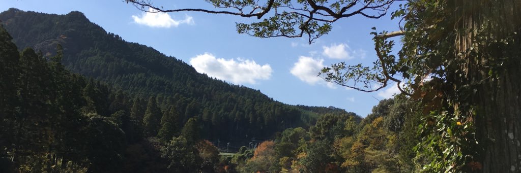 himawari797's profile banner image