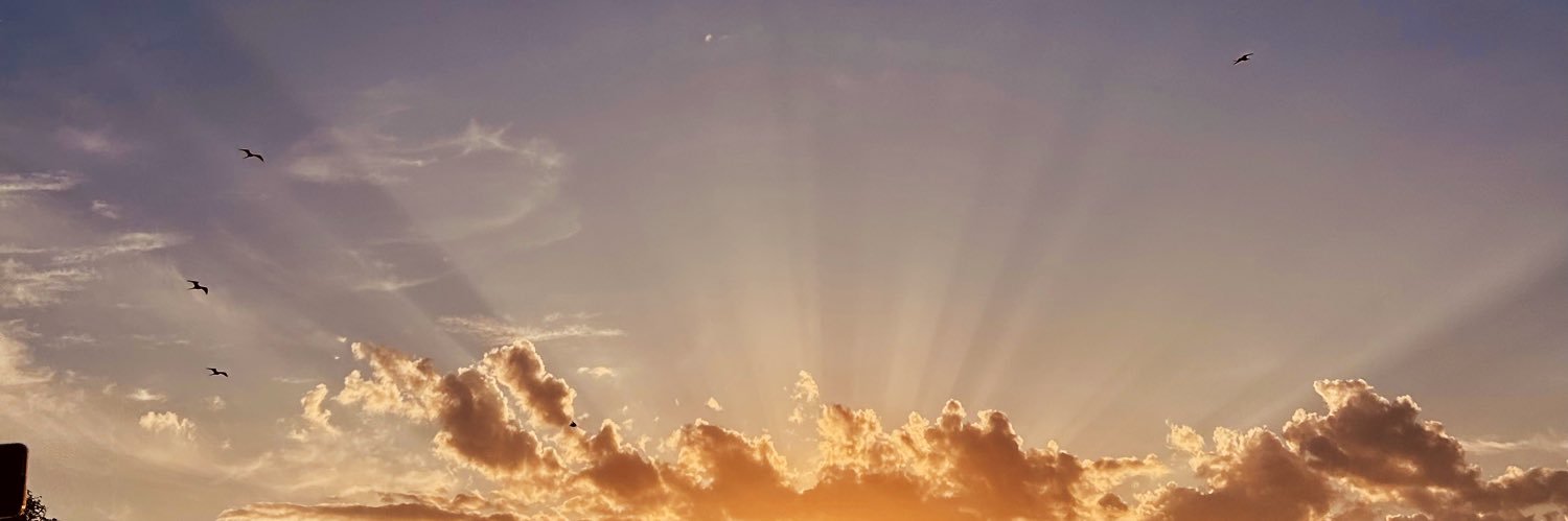 esterpnh's profile banner image
