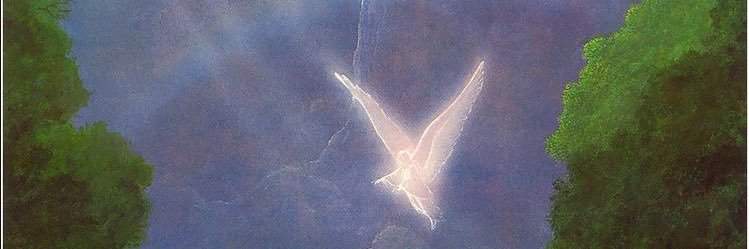 aevvvus's profile banner image