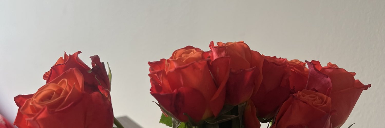 gwenoops's profile banner image