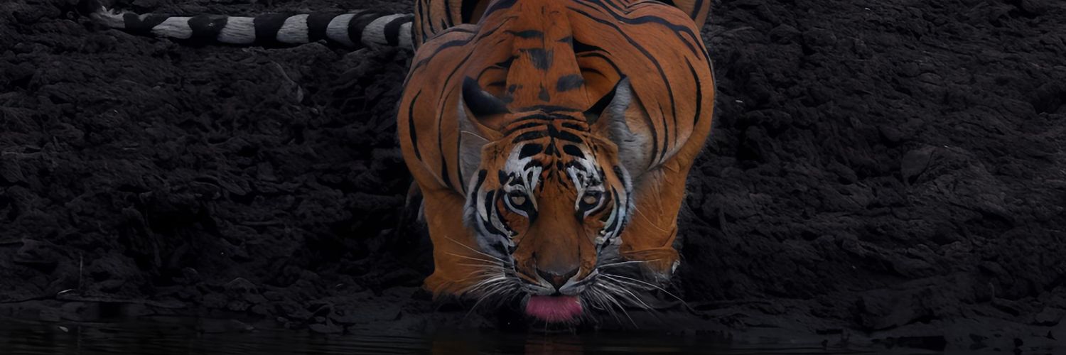 Arretada's profile banner image