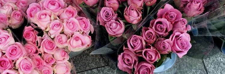 Manalshadidi's profile banner image