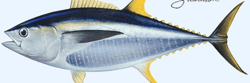 KORBANKKP's profile banner image