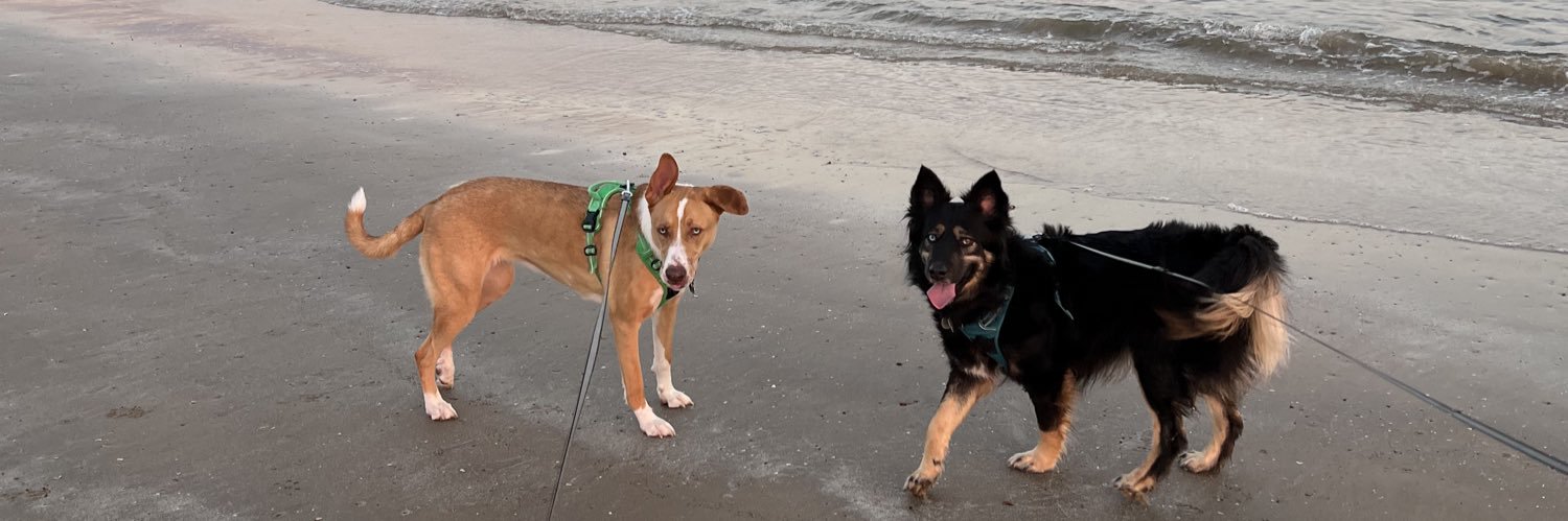 Andrew Sweeney banner