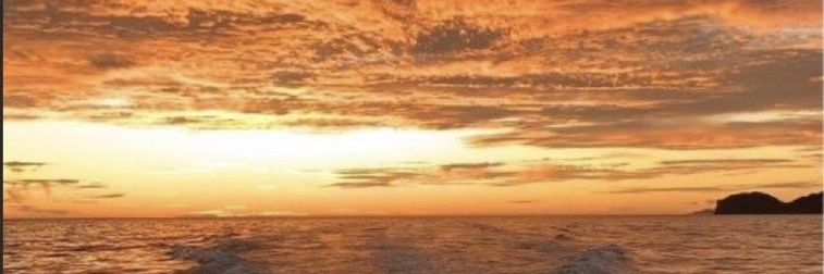 Roka_m93's profile banner image
