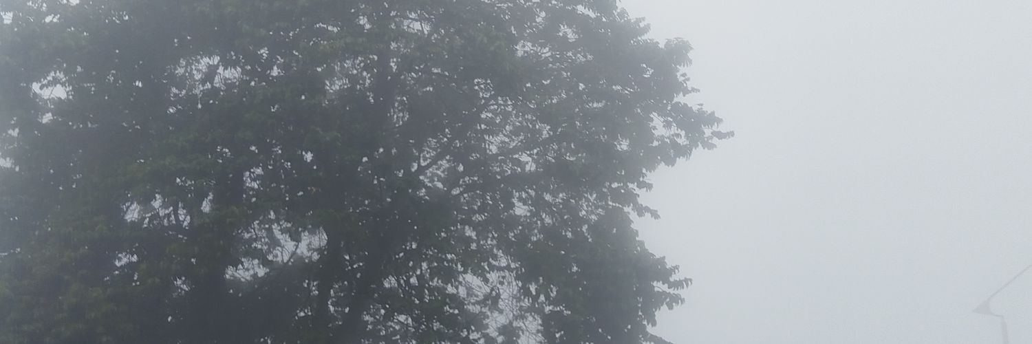 Luisa Maria Aranda banner