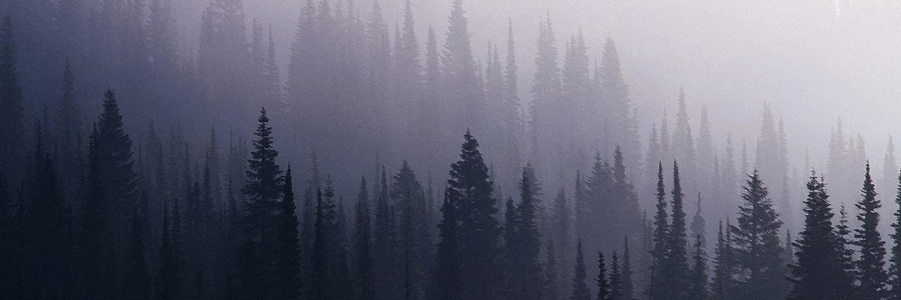 deepsiberia's profile banner image
