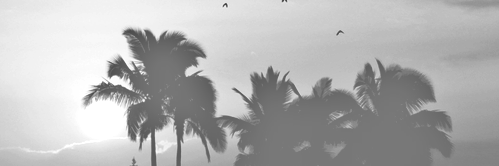 strongarrior's profile banner image