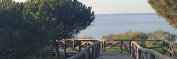 EmeteriaEmi Profile Banner