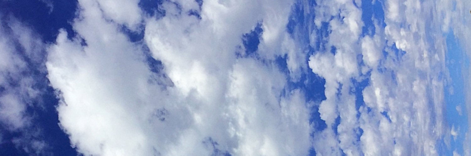 TeenKitty's profile banner image