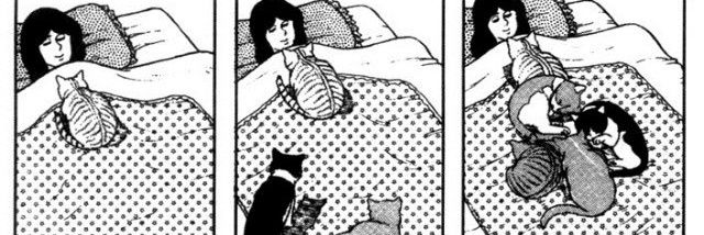 CatiCeccarelli's profile banner image