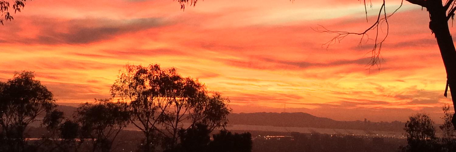 ReedHarrison's profile banner image