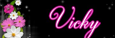 Vicky_CT's profile banner image