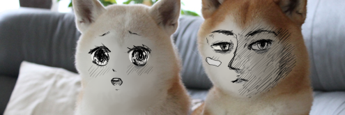 amy 😵‍💫 banner