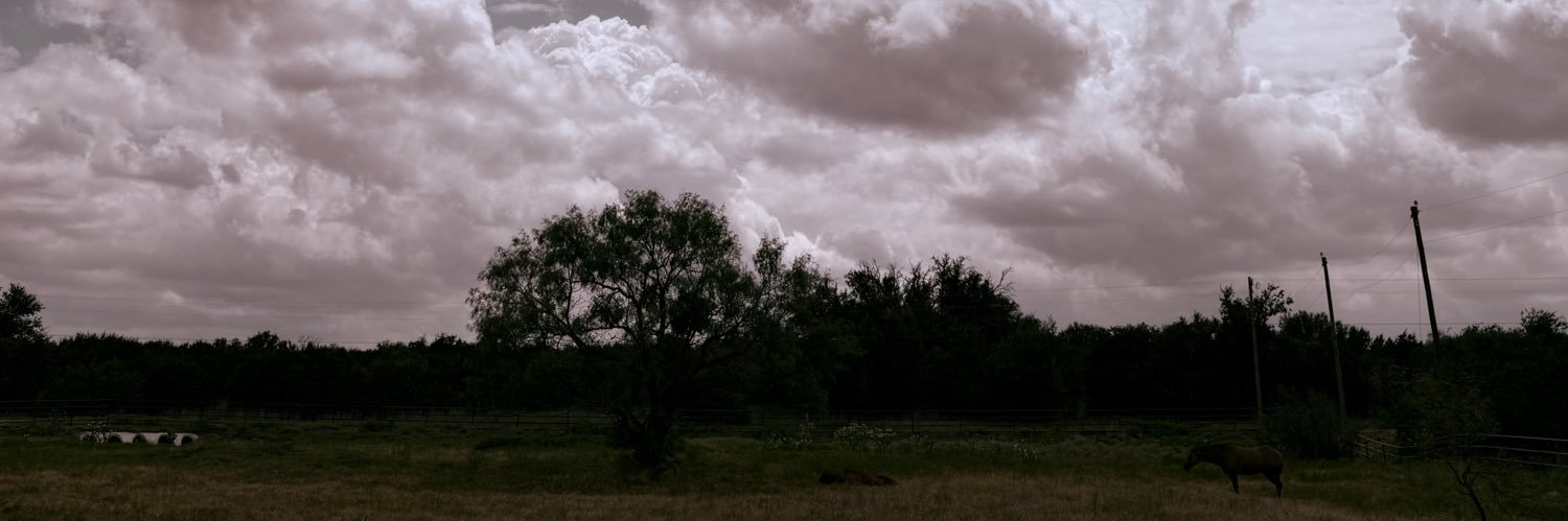 tova8702's profile banner image