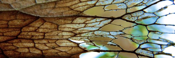 JohnZinno Profile Banner