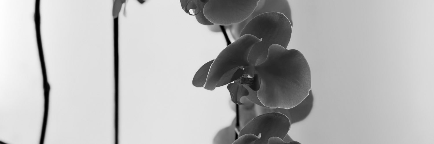 friesangui's profile banner image