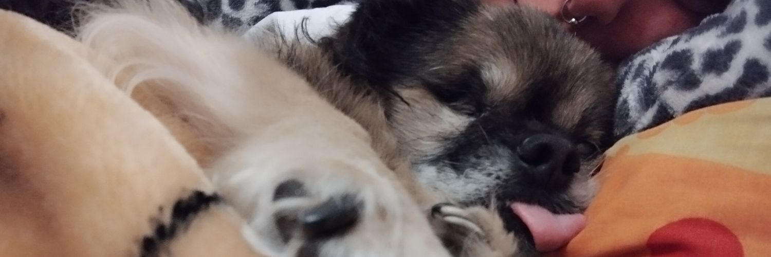 HeavenWithJimmy's profile banner image